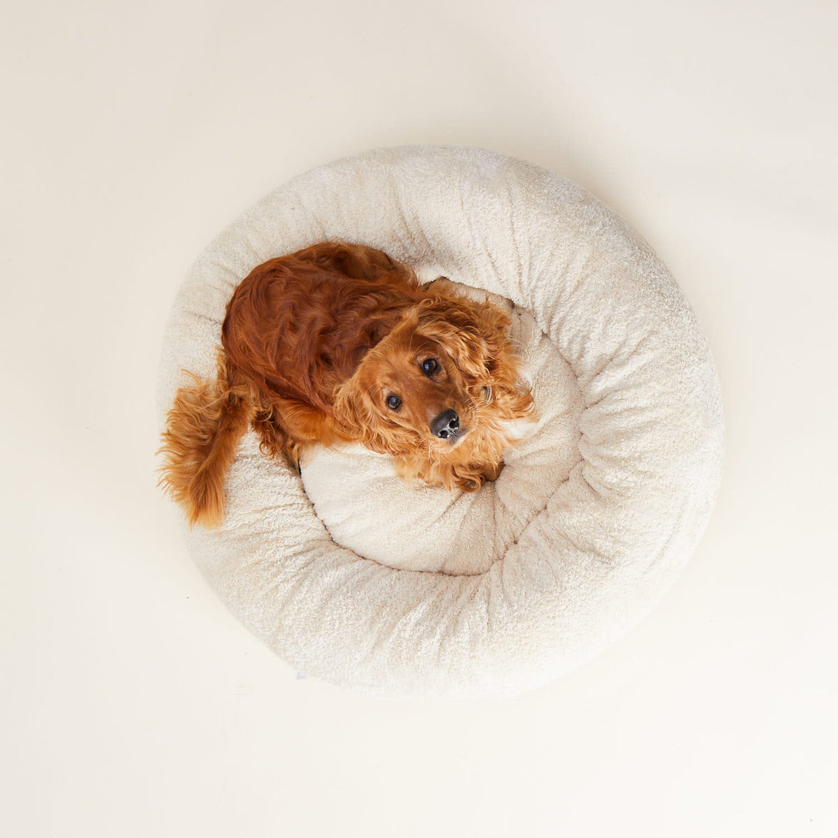 William Walker Cozy dog bed Comfy Sand (Beige)