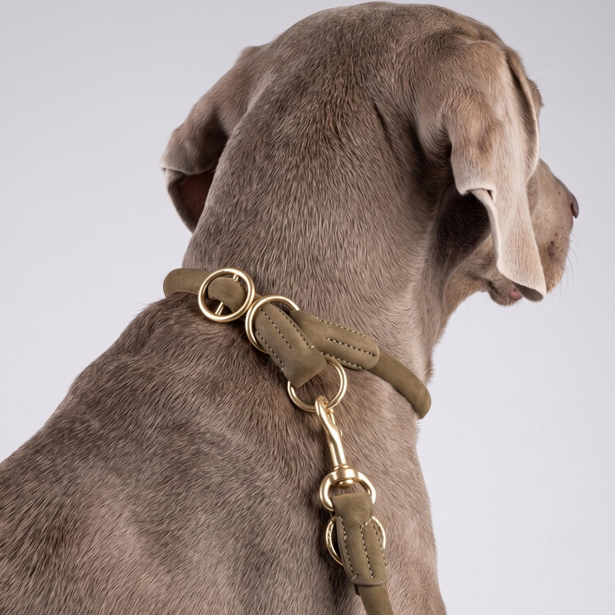 William Walker Kulatý kožený stahovací obojek pro psa