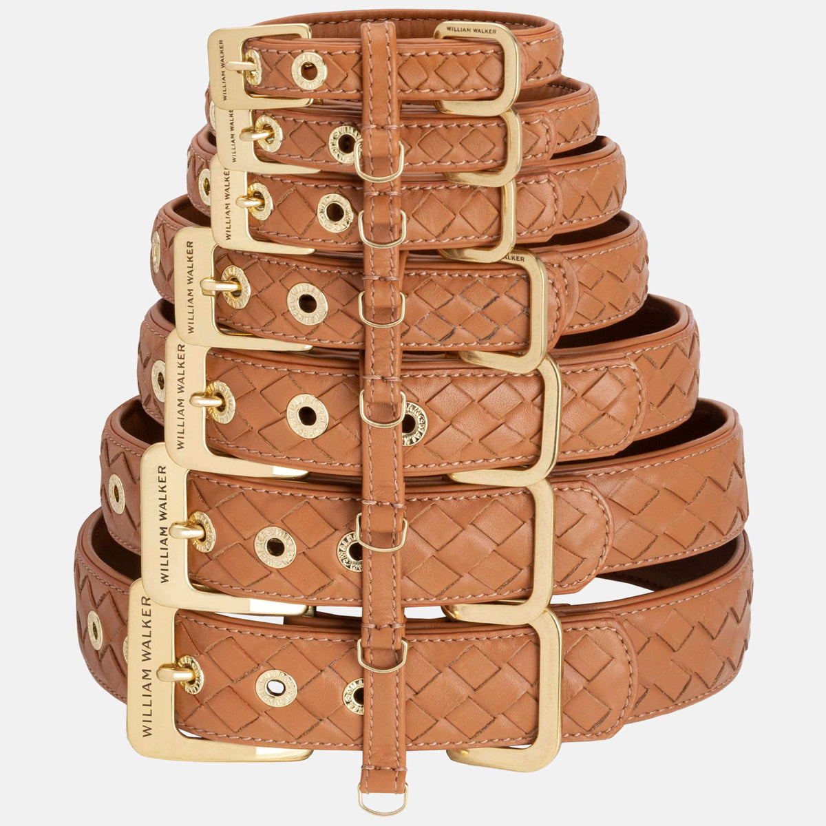 William Walker Kožený obojek pro psa Prestige Caramel
