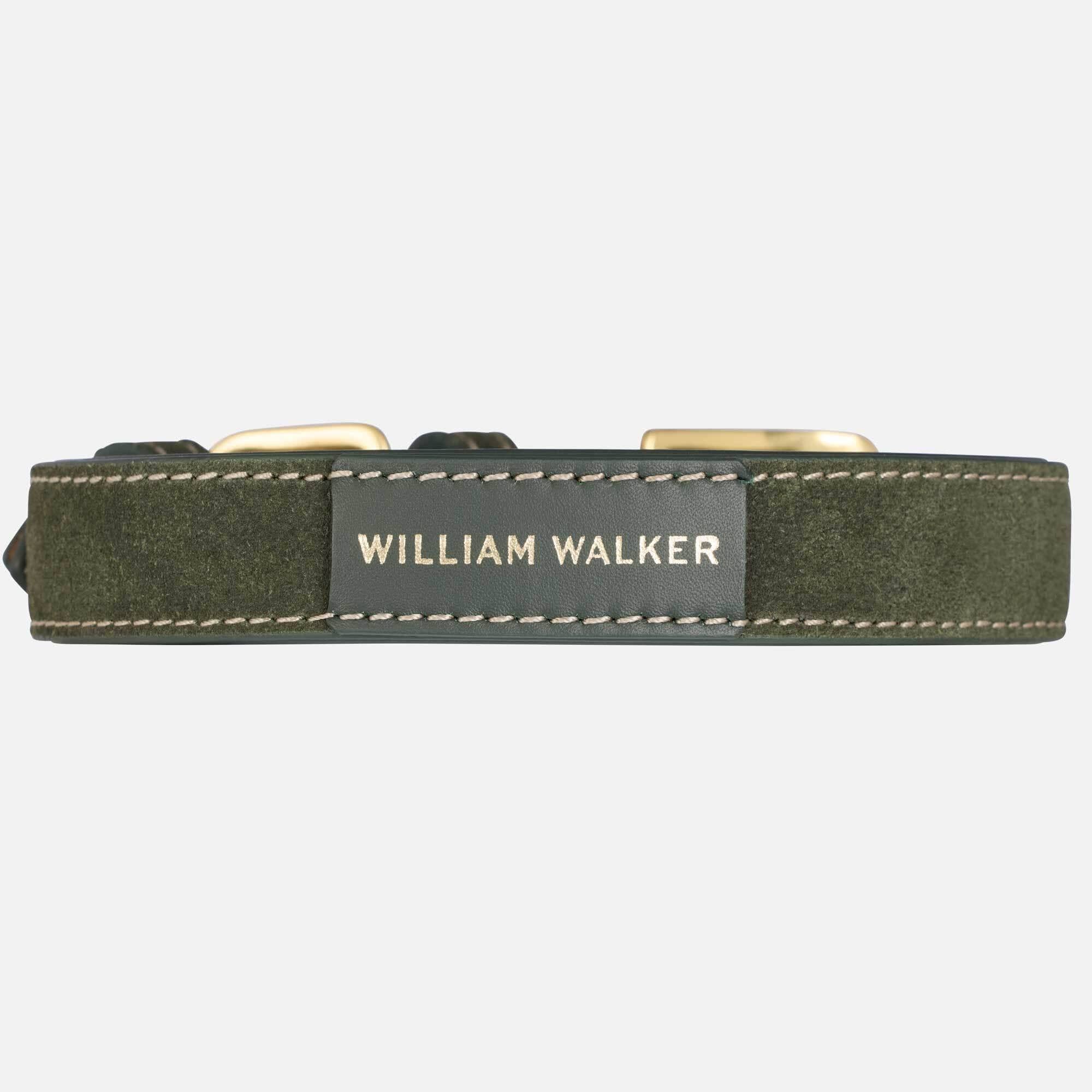 William Walker Semišový obojek pro psa Forest (zelený)