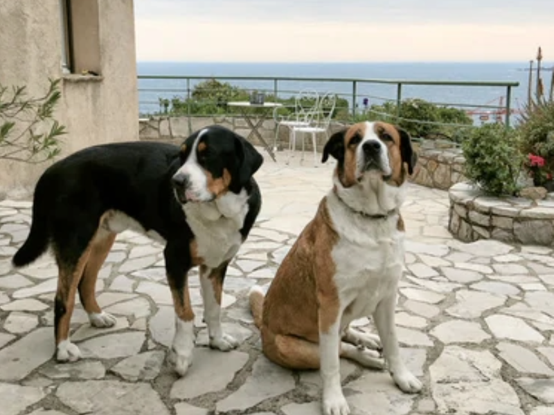 Côte d’Azur se psem