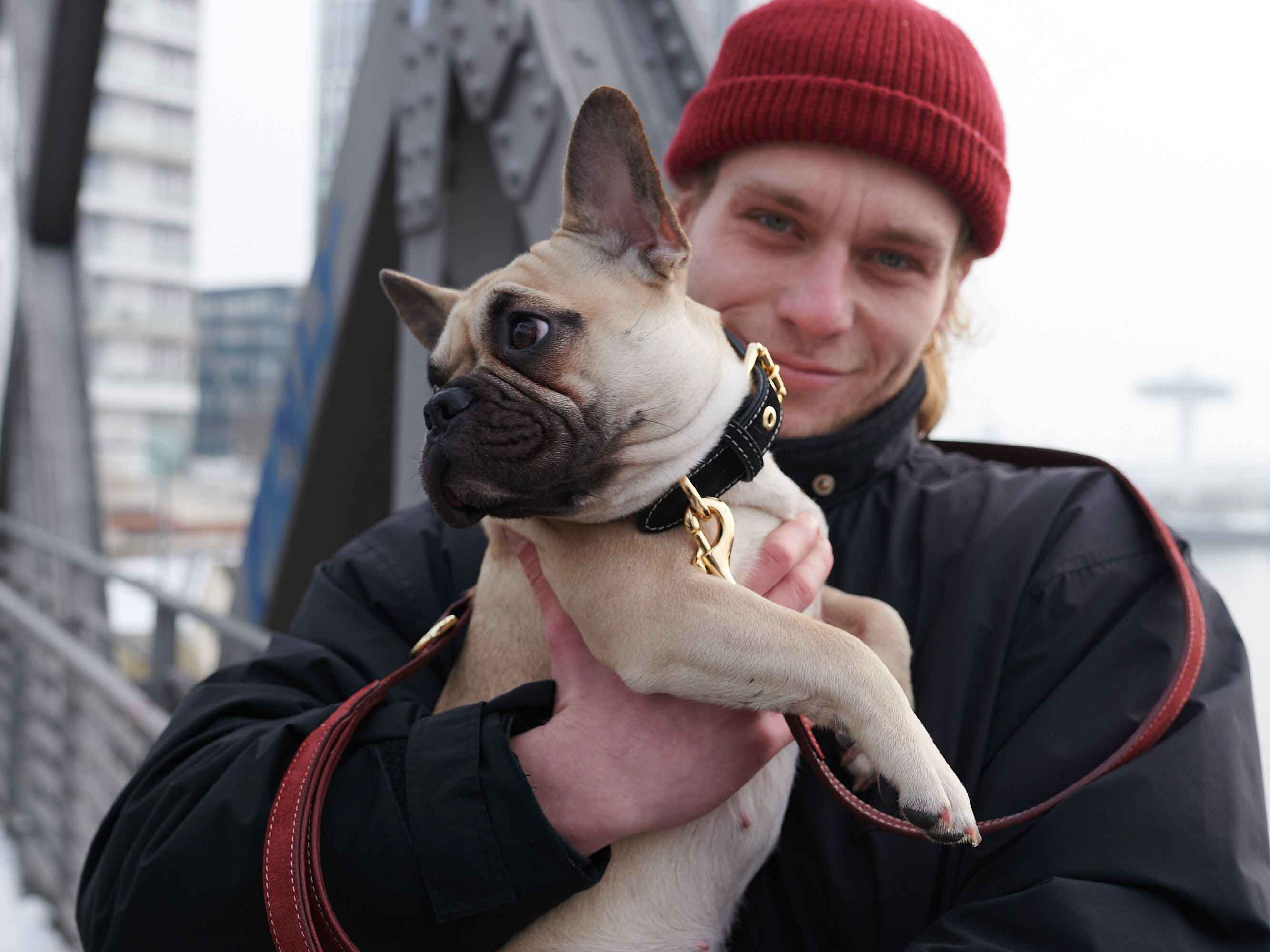 Fotografie měsíce William Walker: doplňky pro psy
