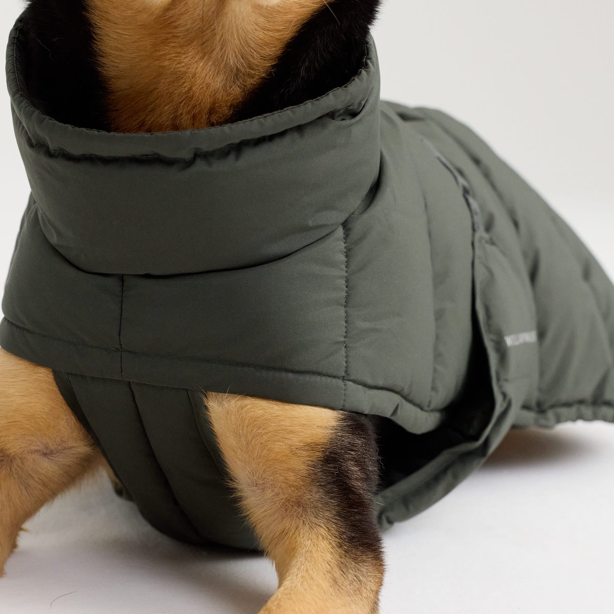 William Walker Warm winter dog coat Alpine